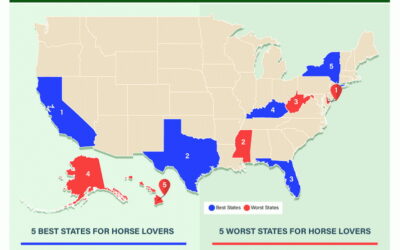 Ranking of best states for horse people, where’s yours?