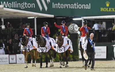 What’s going to happen with the Wellington showgrounds?