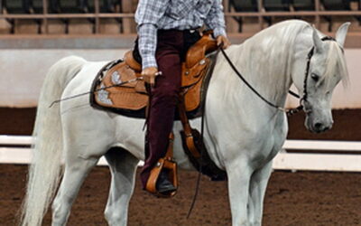 Ready for something different? Learn about Western Dressage