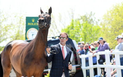 Trotting up at the Kentucky 5-star