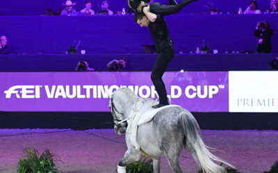 The World Cup was a horse SHOW