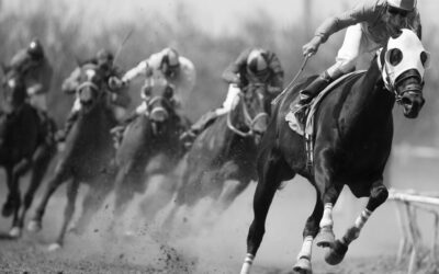 What is being done about the wave of horse racing fatalities?