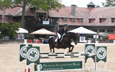 Essex Horse Trials offer atmosphere as well as competition