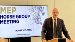 International Jumping Riders Club Vice President Francois Mathy Jr. speaking before the European Parliament's horse groupl.