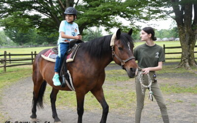 A well-known stable gets a new direction