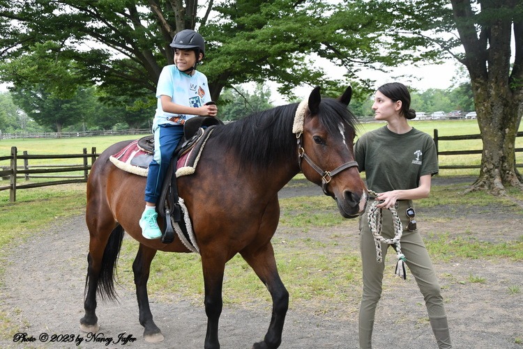 A well-known stable gets a new direction