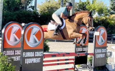 Amateur show jumper dies after fall: UPDATED July 28