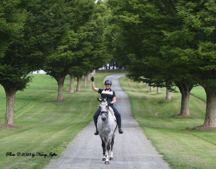 A different way of marketing sport horses