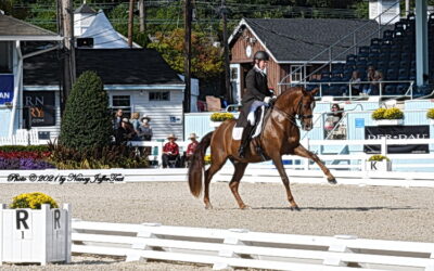 Herslow’s 2021 Dressage at Devon victory is acknowledged at last