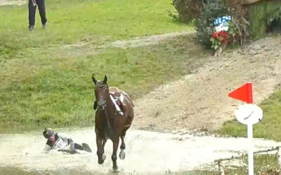 Brits widen lead in eventing champs and what happened to Michael Jung?