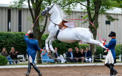 An iconic stable will be closing its doors