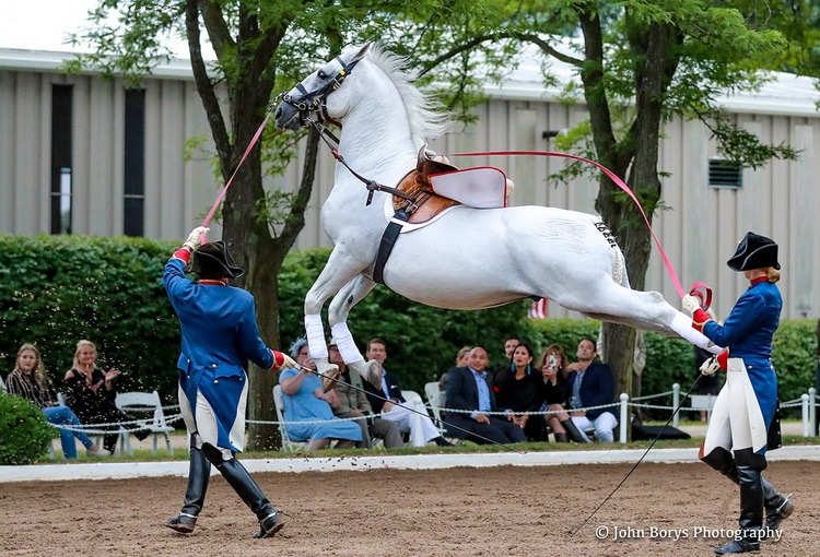 An iconic stable will be closing its doors