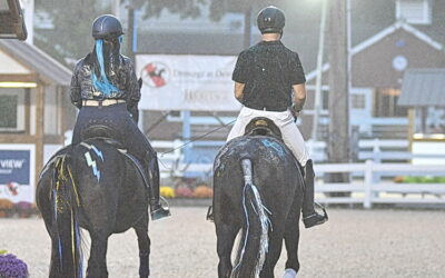 They were dancing with sparkle at Dressage at Devon