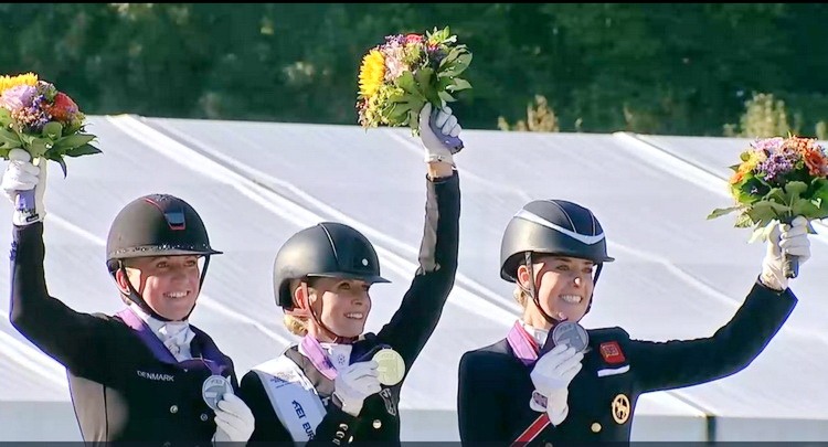 Who won at the Europeans–the stallion or the mare?