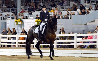 A star rises at Dressage at Devon