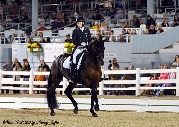 A star rises at Dressage at Devon