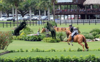 The questions keep coming about the Wellington showgrounds