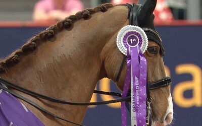 Another British sweep for the Freestyle in London