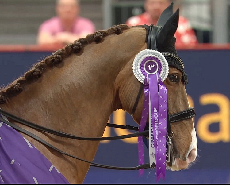 Another British sweep for the Freestyle in London