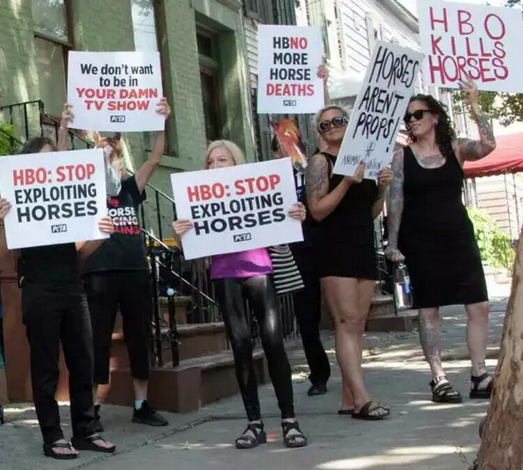 Horse sports must deal with social license to operate; thoughts from a USHJA town hall and Europe