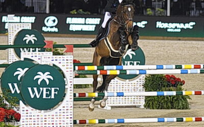An Irish triumph was more than luck