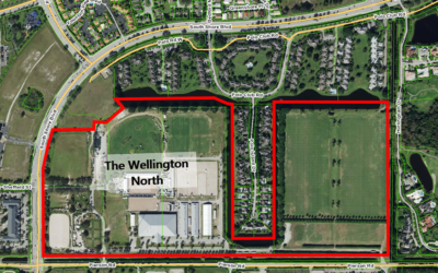 At last, the Wellington Council reaches a decision about a controversial project
