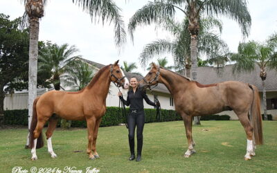 Dressage medalist Adrienne Lyle is up for the Paris challenge