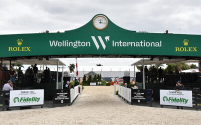 The Wellington showgrounds have been sold