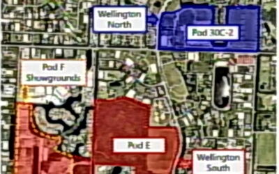Details about the new Wellington showgrounds revealed at hearing