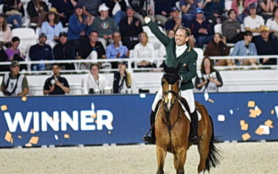 It’s the Irish show jumping team on top of the world