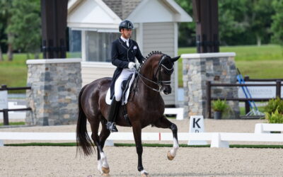 Marcus Orlob is riding for a dressage dream: Another UPDATE