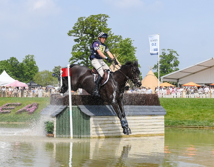 click to enlarge photo Boyd Martin and Tsetserleg at Badminton (Photo U.S. Eventing Association)