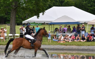 The Essex Horse Trials will return!
