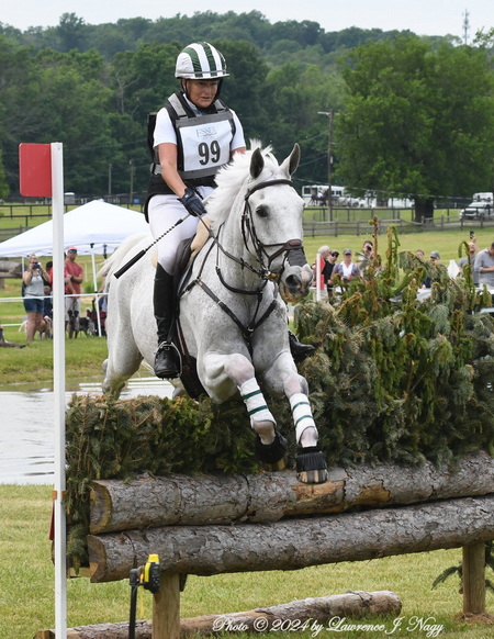 Essex horsepower: Equines and engines