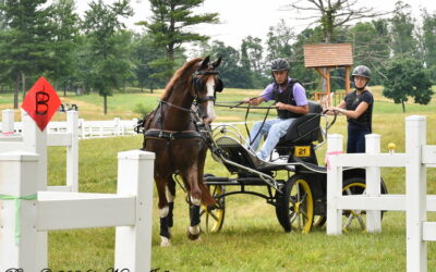 Combined driving event boosts the sport on a special weekend