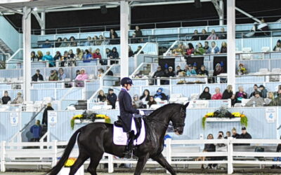 Lots to applaud in the Dressage at Devon freestyle