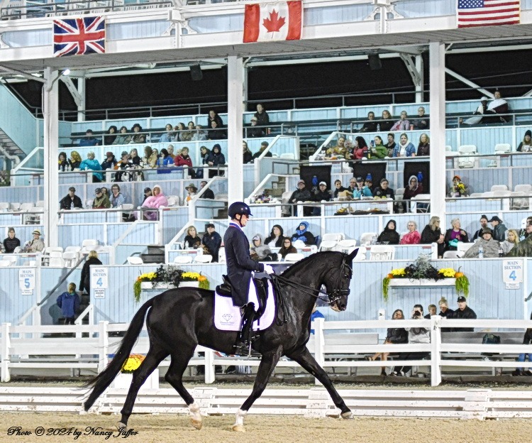 Lots to applaud in the Dressage at Devon freestyle