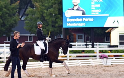 A masterful Masterclass during Dressage at Devon