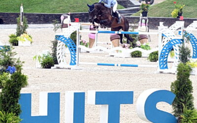 HITS grand prix topped by an international trio