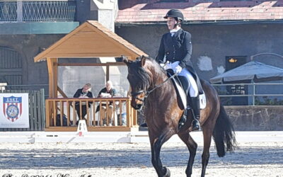 A horse show that’s fun? The ESDCTA Championships fills the bill
