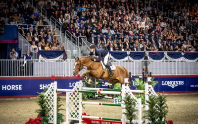 Matz dominates at the Royal