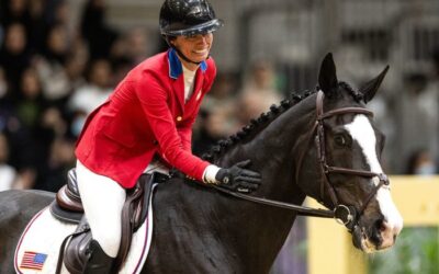 An important boost coming for sport horse well-being