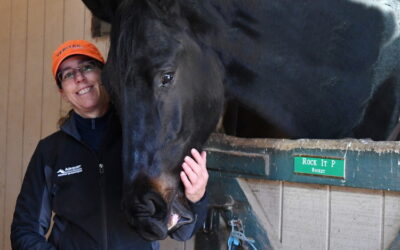 A devotion to horses inspires Heather Mason
