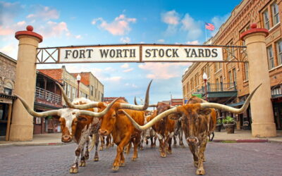 Yippee! Cowboy up for different kind of World Cup finals