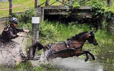 A little mud couldn’t stop the GEA Horse Driving Trial