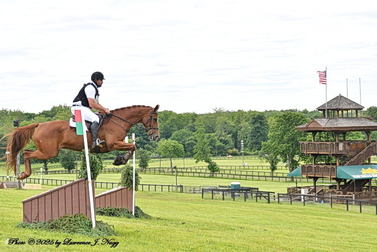 The Essex Horse Trials is Alive and Well