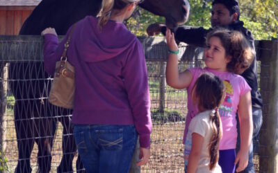 NEW DATE: Visit Mylestone Equine Rescue for a look at how horses in need have been helped