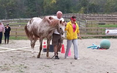 A special horse who helped veterans and others is being honored this month