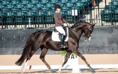 It’s time to vote–for a U.S. para-equestrian