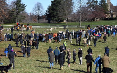 Thanksgiving means a trip to see the Essex Fox Hounds gather